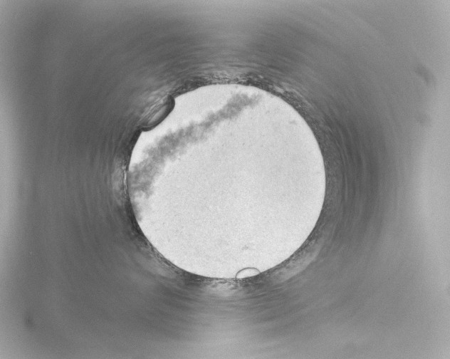 X0000115590624200912221109