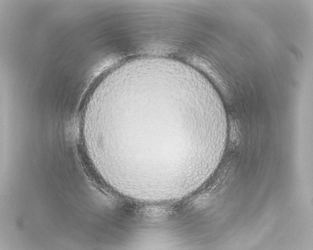 X0000115590632200912221109