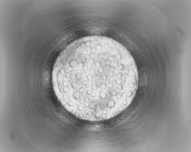 X0000115590646200912221109