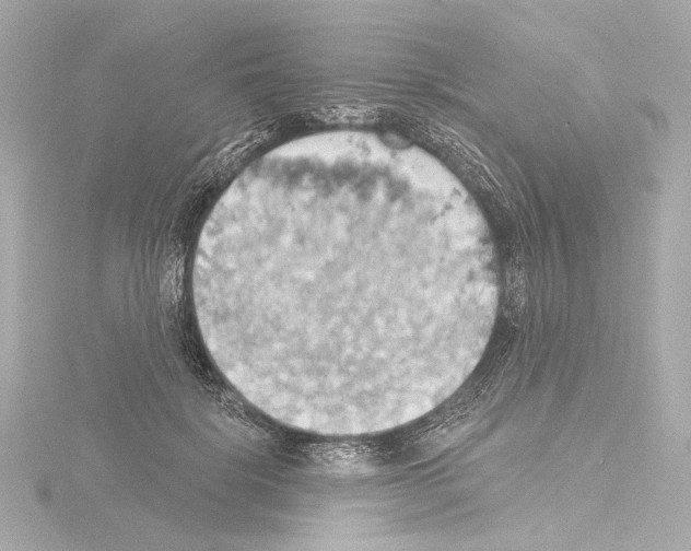 X0000115590652200912221109