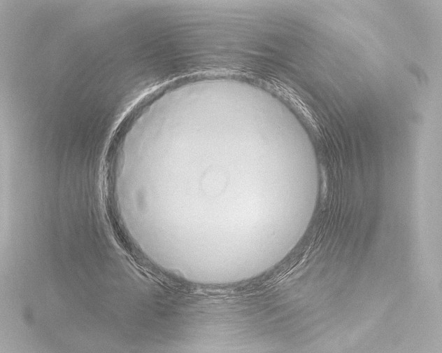 X0000115590676200912221109