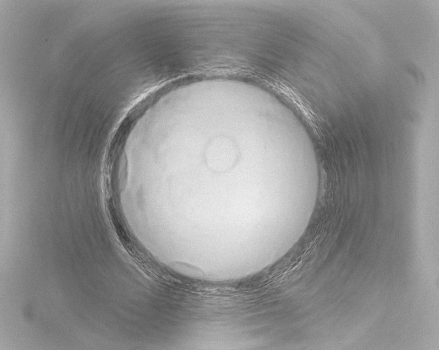 X0000115590680200912221109