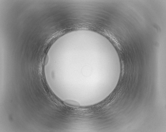 X0000115590681200912221109