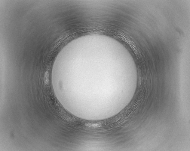 X0000115590689200912221109