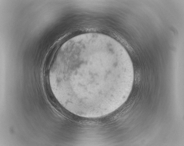 X0000115590722200912221108