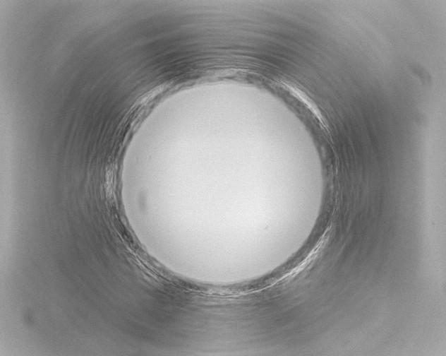 X0000115590777200912221107