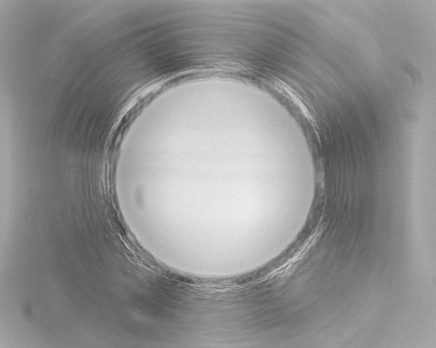 X0000115590781200912221107