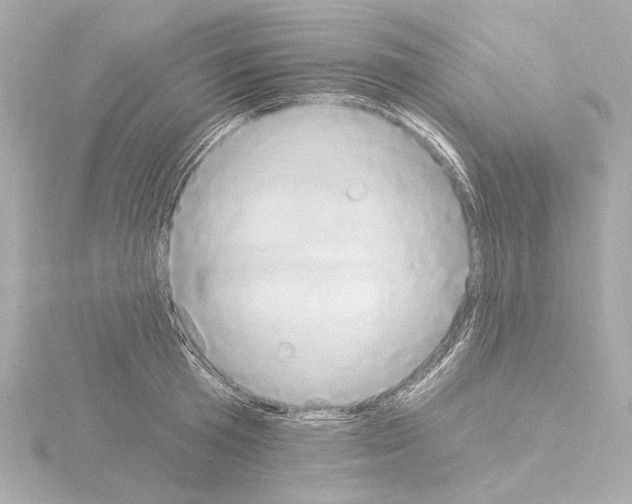 X0000115590801200912221107