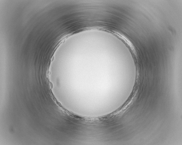X0000115590809200912221107
