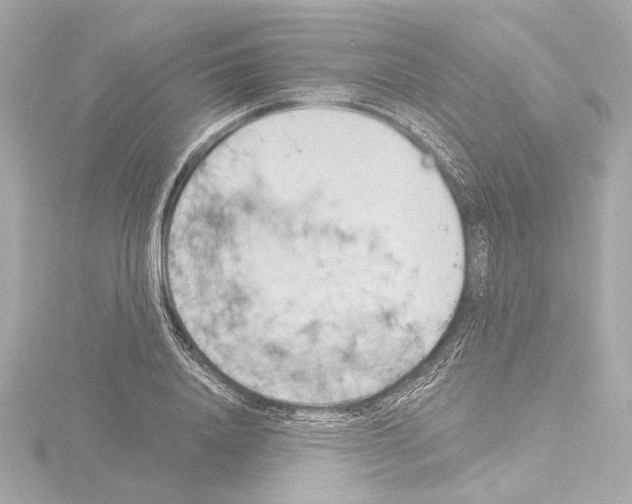 X0000115590840200912221107