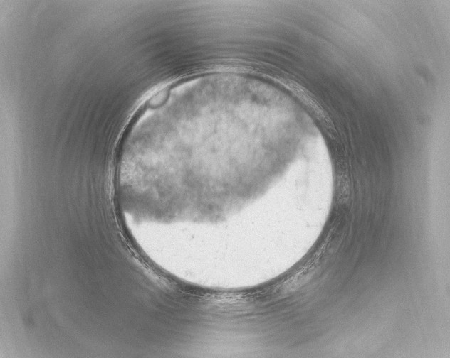 X0000115590846200912221107