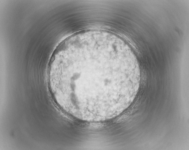 X0000115590848200912221107