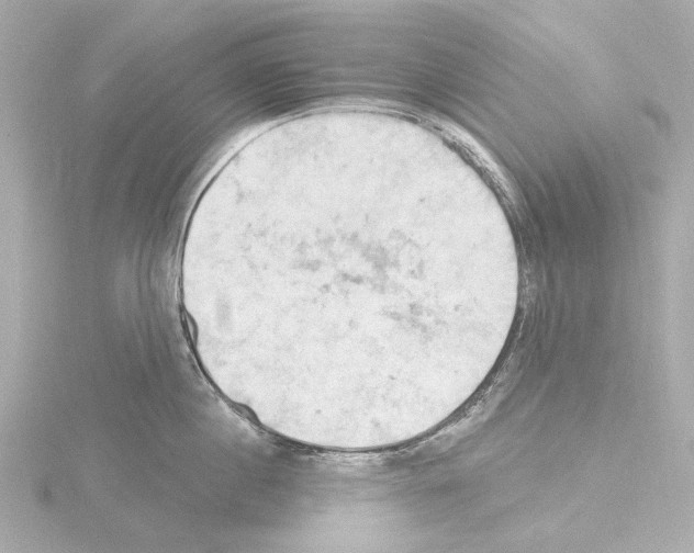 X0000115590860200912221107
