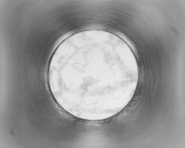 X0000115590861200912221107