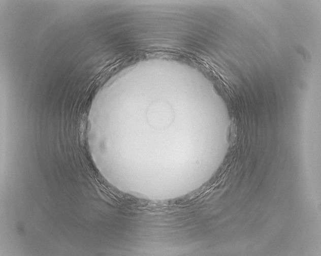 X0000115590868200912221106