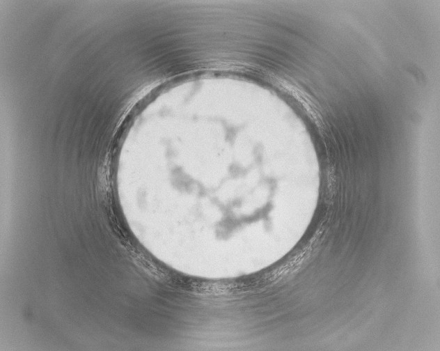 X0000115590875200912221106
