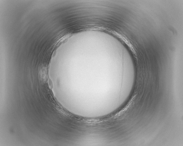 X0000115590889200912221106