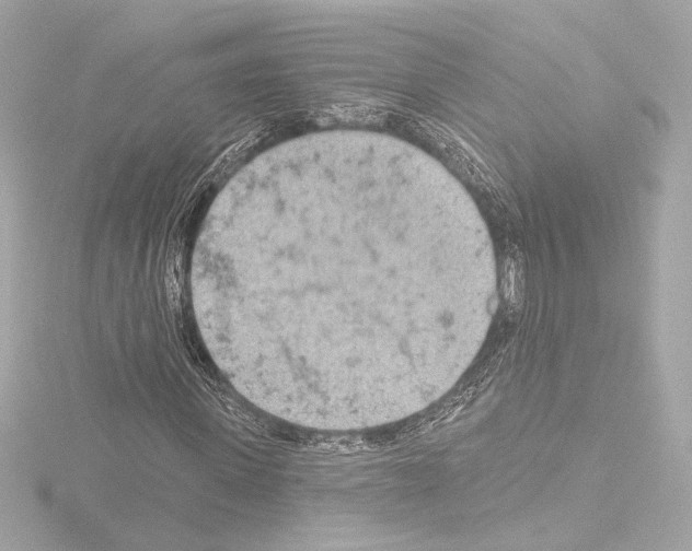 X0000115590915200912221105