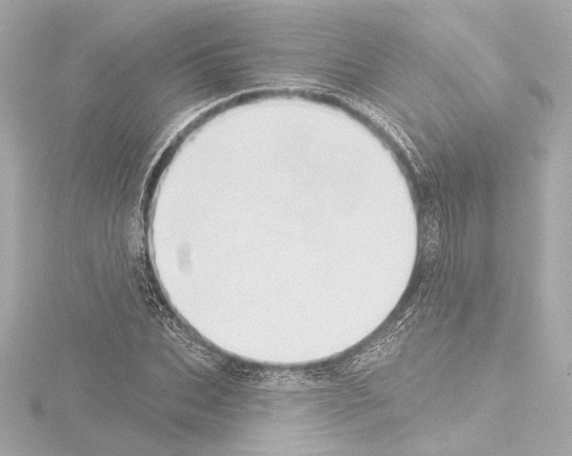 X0000115590927200912221105