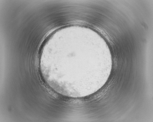 X0000115590931200912221105