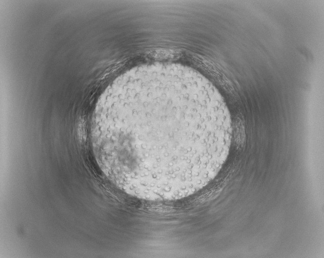 X0000115590962200912221105