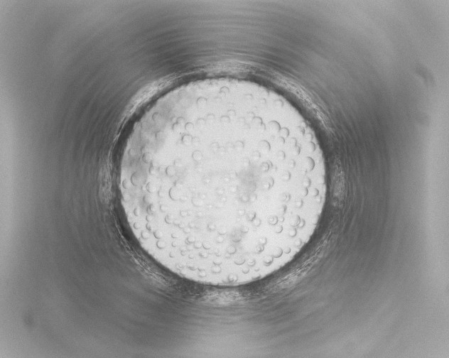 X0000115590978200912221105