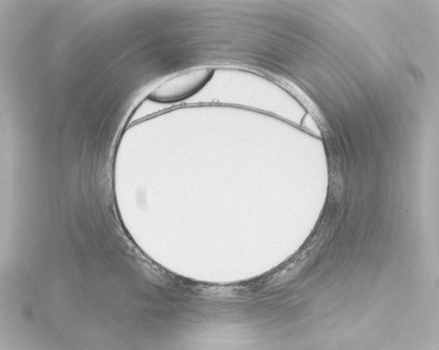 X0000115591004200912221105
