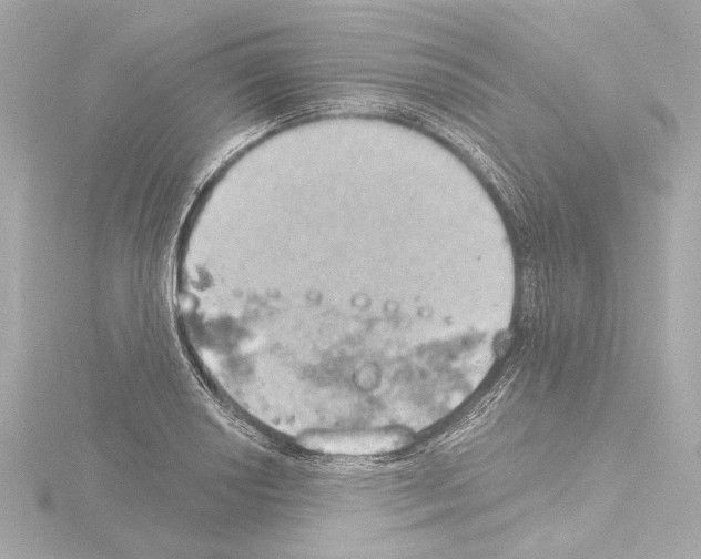 X0000115591034200912221104