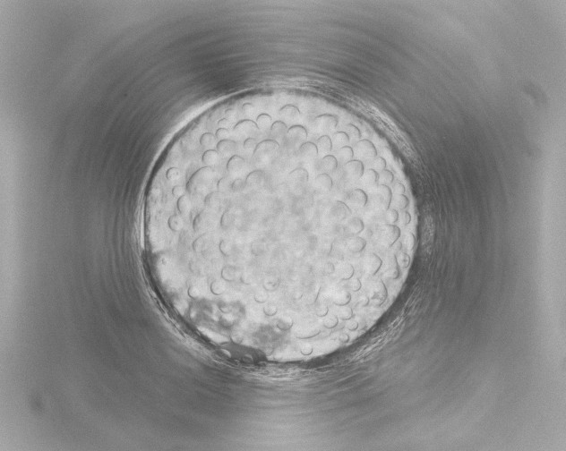 X0000115591036200912221104
