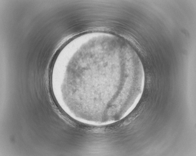 X0000115591038200912221104