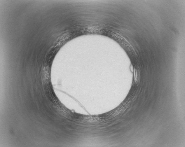 X0000115591107200912221103