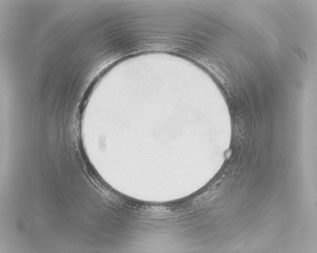 X0000115591119200912221103
