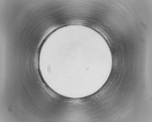 X0000115591131200912221103