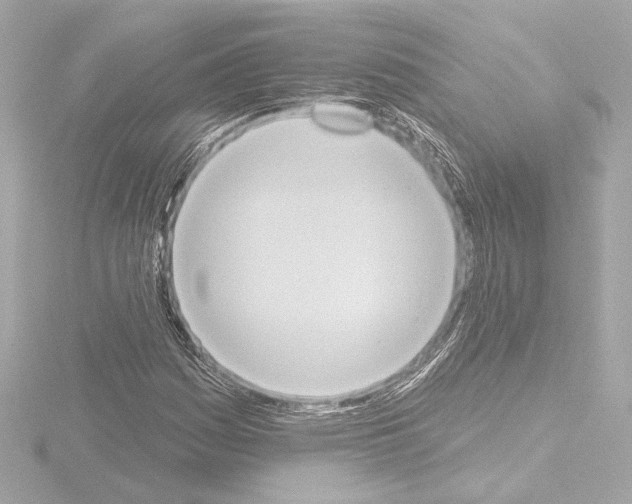 X0000115591161200912221103
