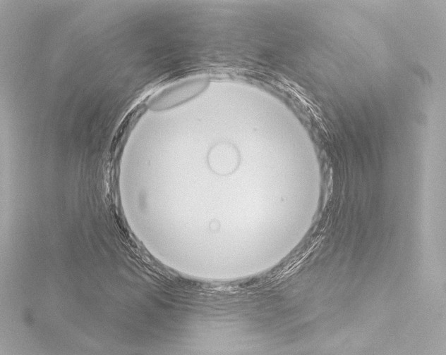 X0000115591165200912221103