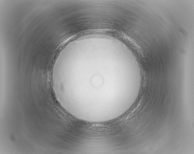 X0000115591169200912221102