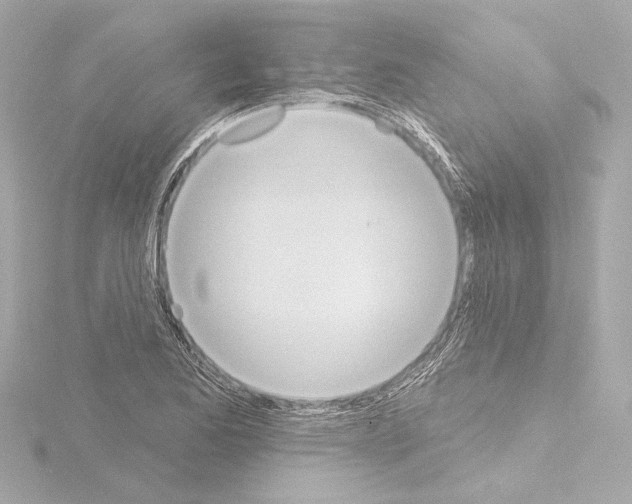 X0000115591173200912221102