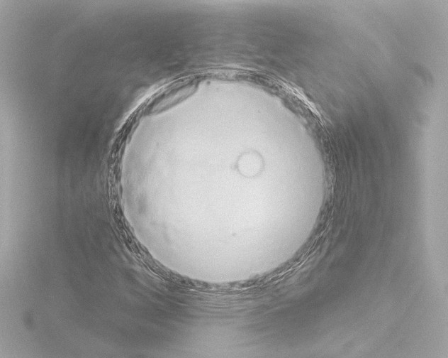 X0000115591256200912221101