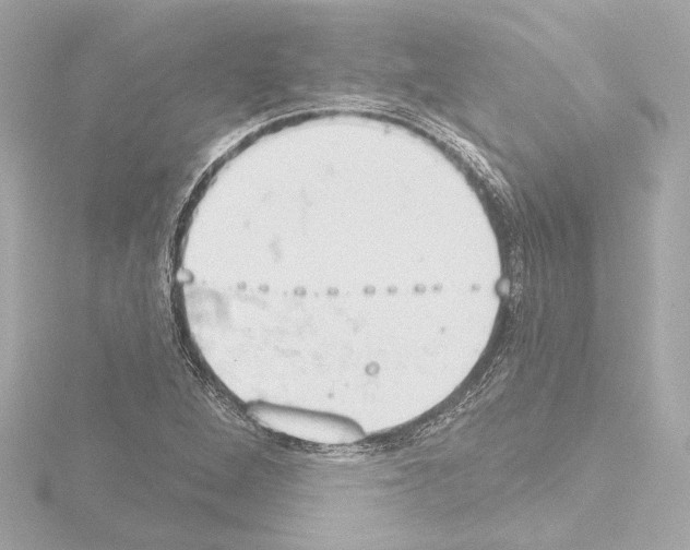 X0000115591264200912221101