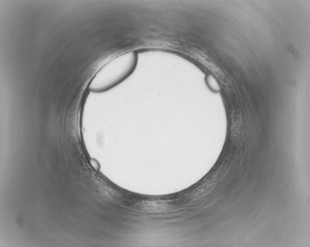 X0000115591272200912221101