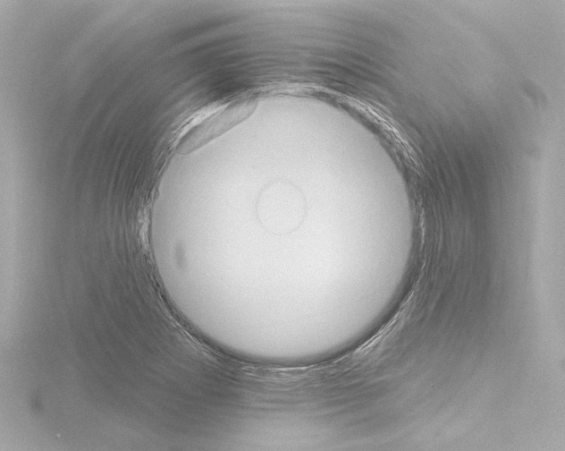 X0000115591273200912221101