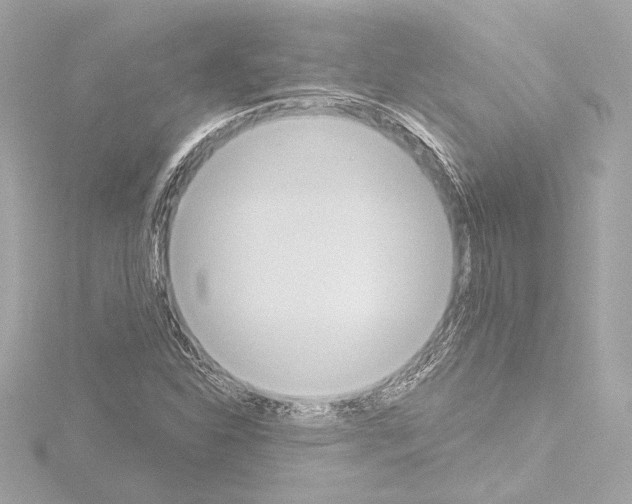 X0000115591310200912221100
