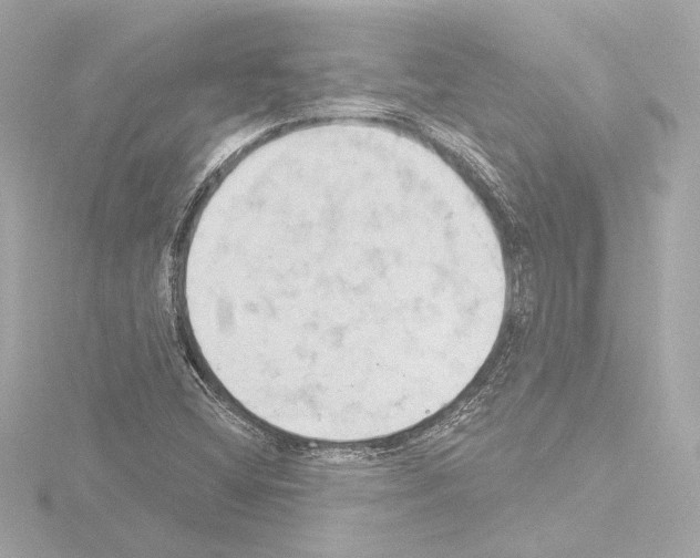 X0000115591404200912221059