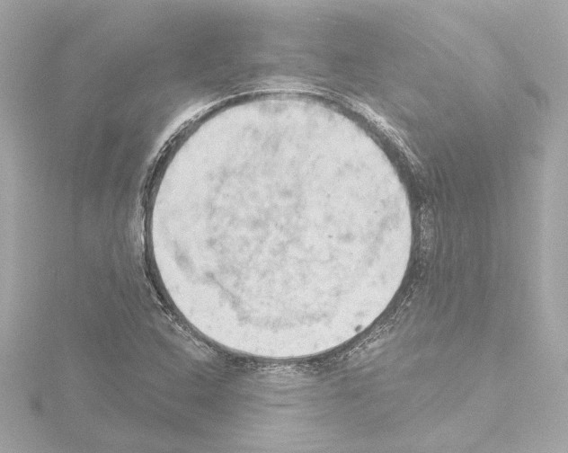 X0000115591408200912221059