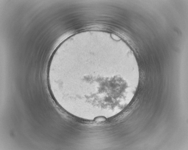 X0000115591426200912221059