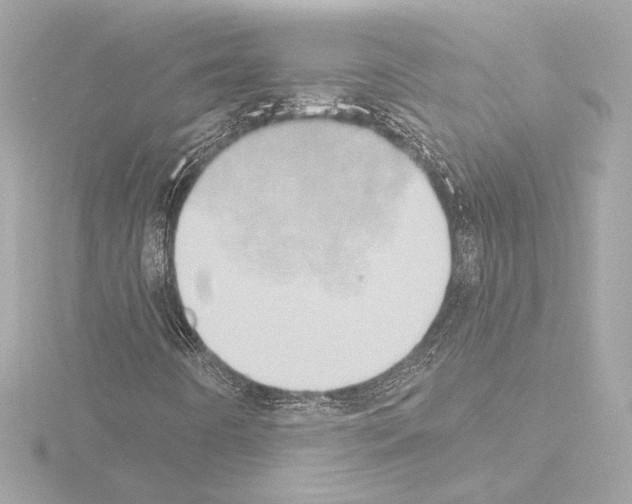 X0000115591442200912221059