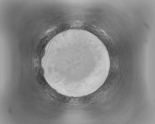 X0000115591445200912221059