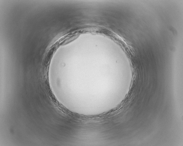 X0000115591448200912221059