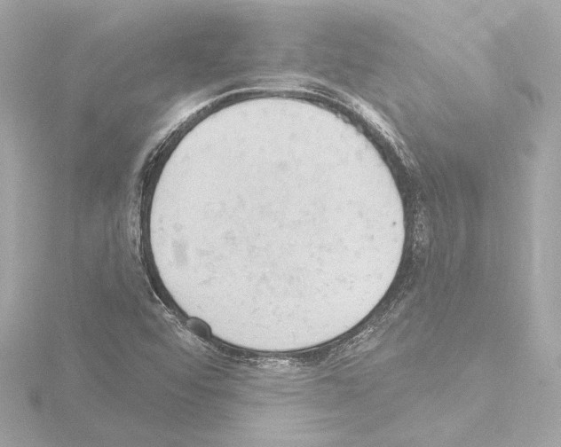 X0000115591456200912221059
