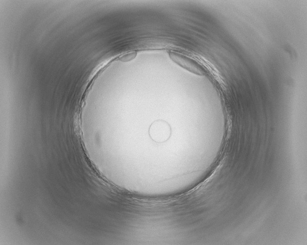 X0000115591465200912221059